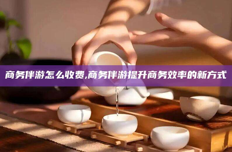 陇南商务伴游怎么收费,商务伴游提升商务效率的新方式